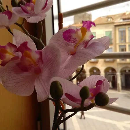 Centro-swing Ávila